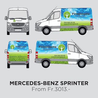 Vehicle Graphics, Car Wraps, Auto Decals, Car Magnets, Van Signwriting